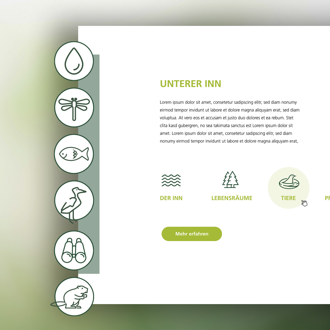 Icons hover effekte Naturium am Inn Website