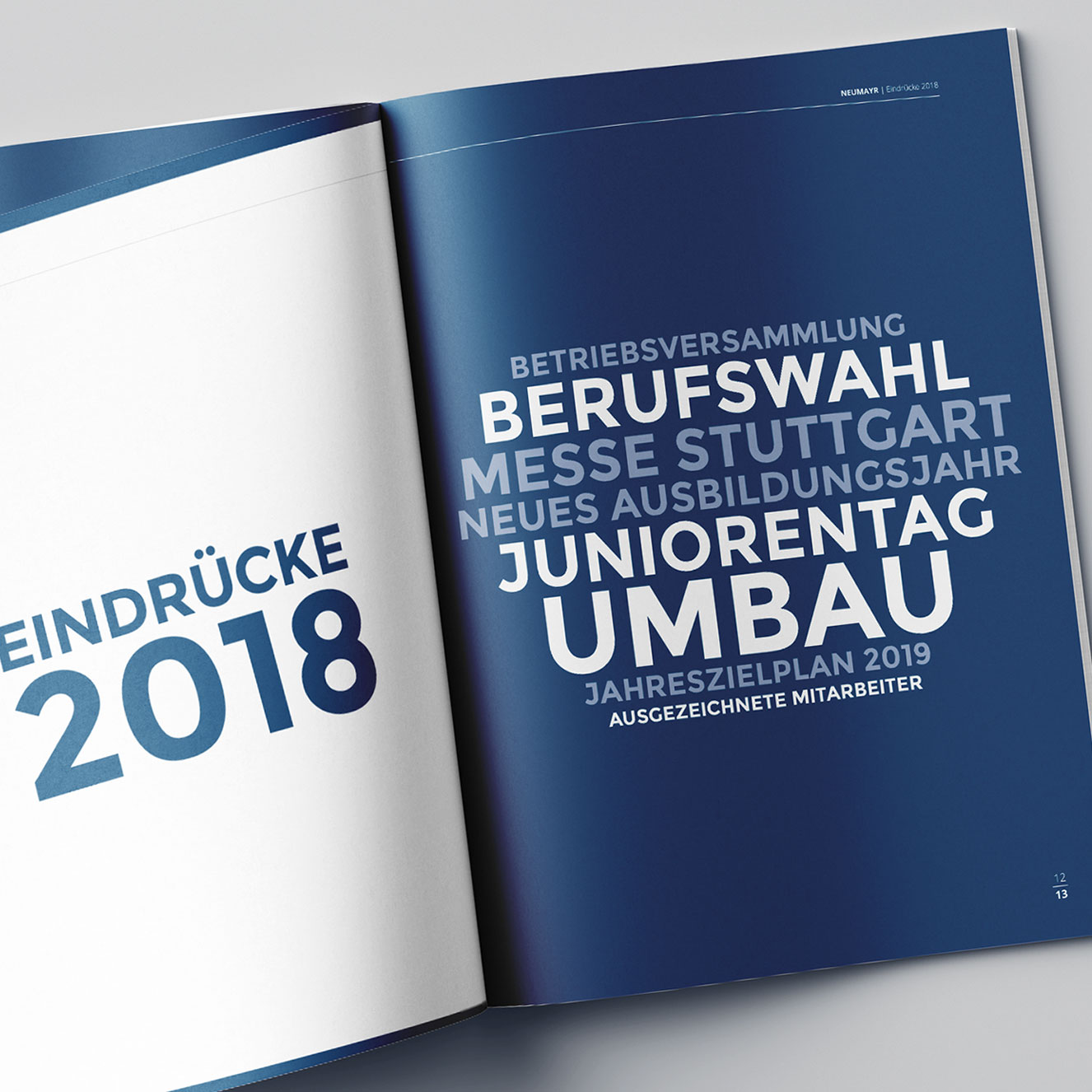 Referenz Jahreszielplan Neumayr Eindruecke 2018